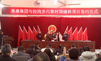 bevictor伟德林业集团与拉沟乡就国储林项目首单签约