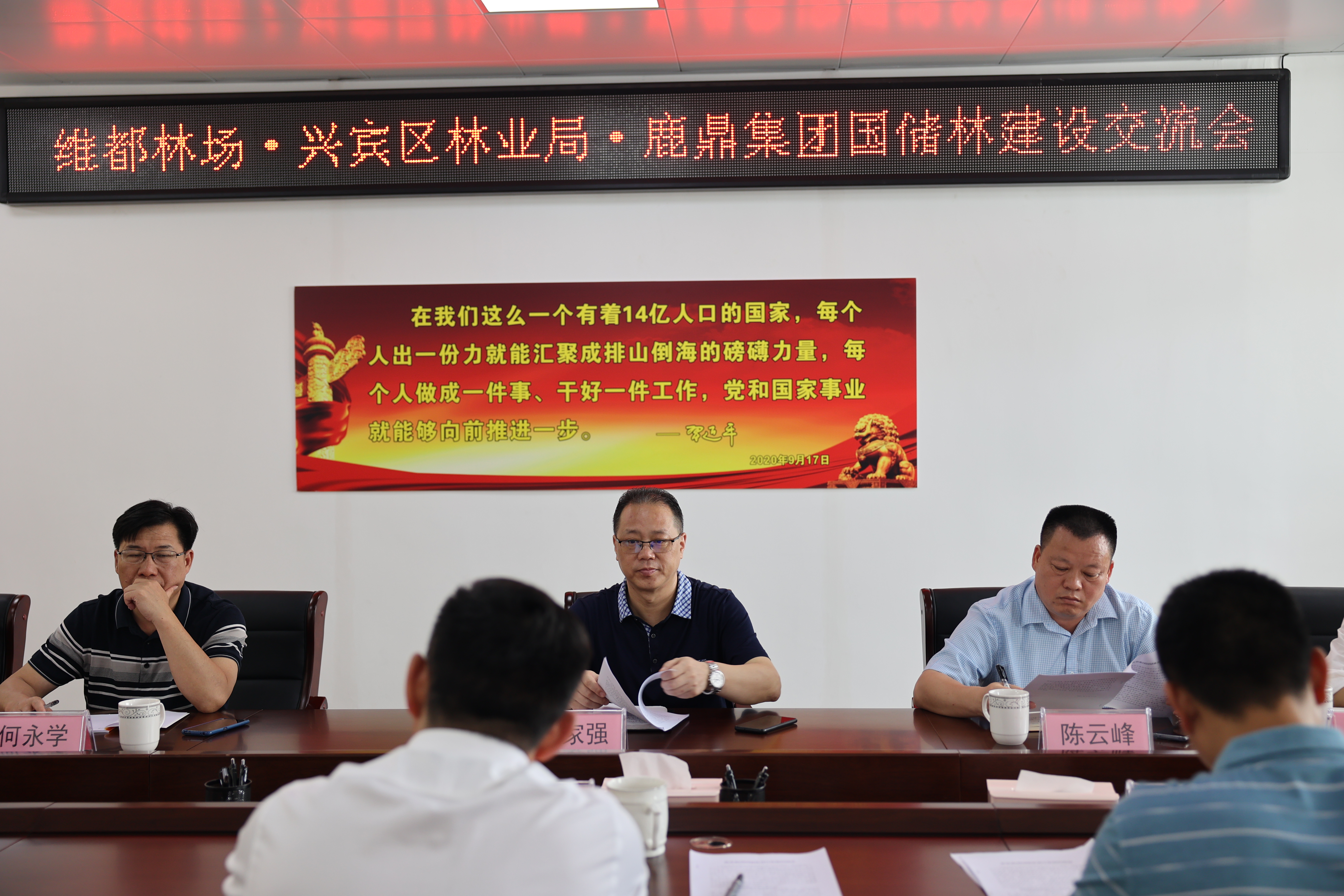 国有维都林场、兴宾区林业局到bevictor伟德集团互换国储林项目建设工作