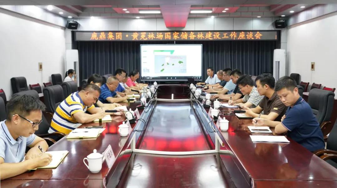 bevictor伟德林业集团与黄冕林场座谈互换国储林建设工作