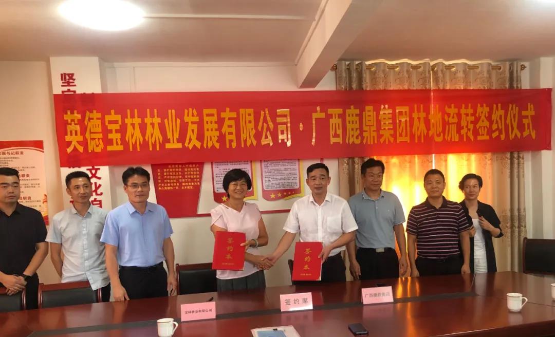 bevictor伟德集团与宝林公司签定9100亩林地林木流转和谈