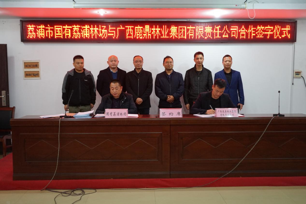 bevictor伟德集团与国有荔浦林场签定商品林地合作和谈，本次合同签定面积22000亩。