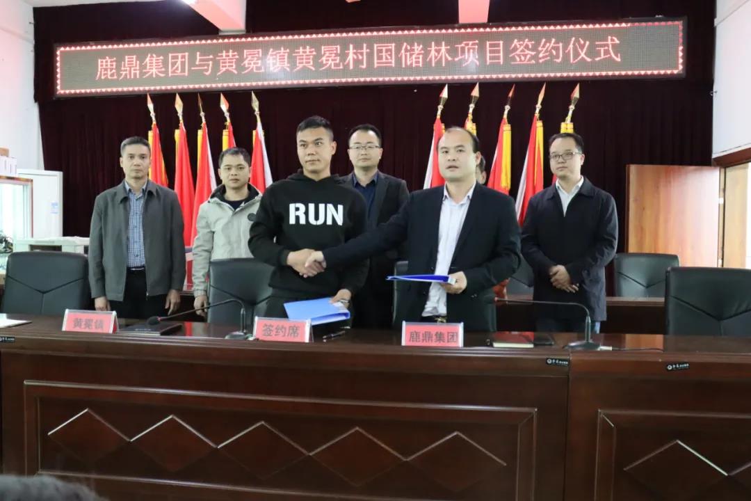 黄冕镇国储林项目首单签约2.jpg 黄冕镇国储林项目首单签约2.jpg
