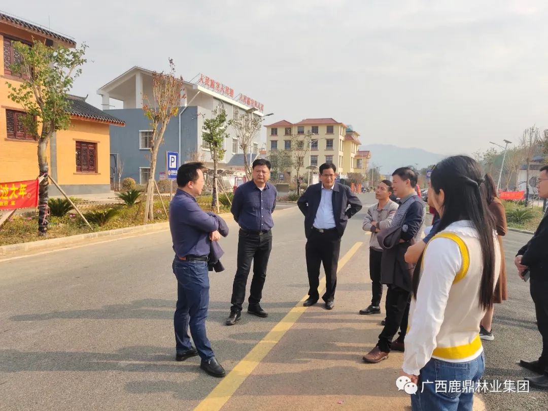 自治区林业局调研组到鹿寨县调研指导国储林建设现场推进会筹备工作.jpg 自治区林业局调研组到鹿寨县调研指导国储林建设现场推进会筹备工作.jpg