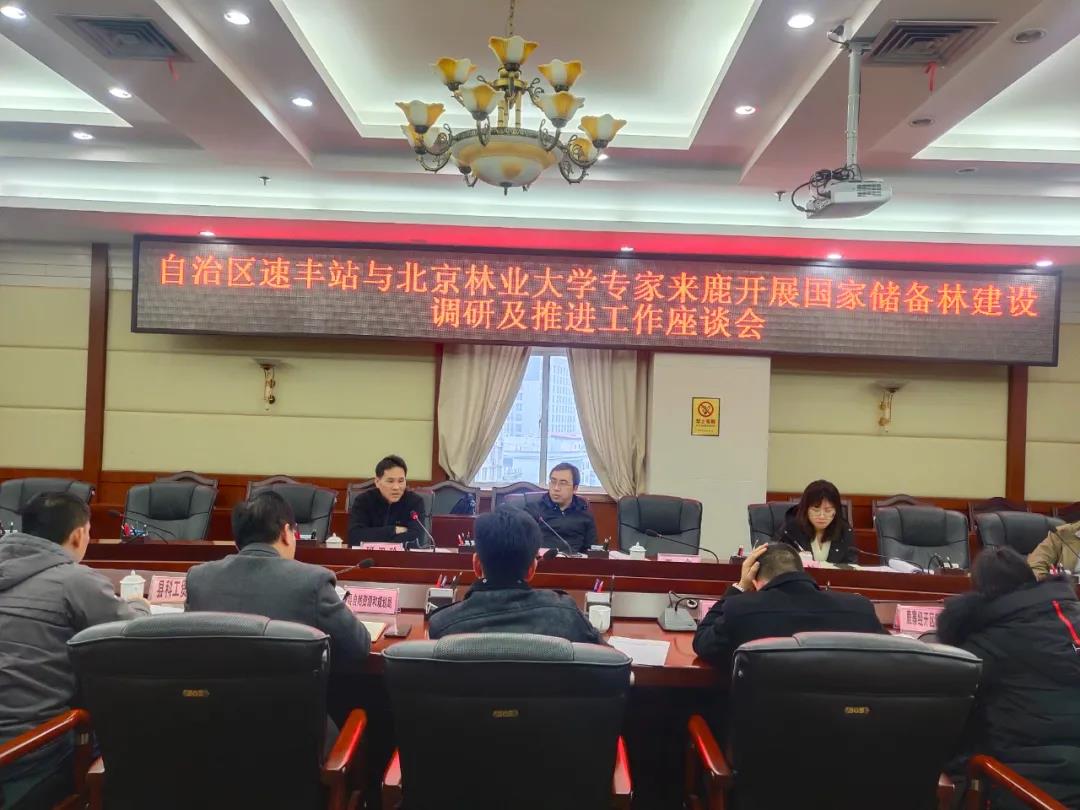 强化调研指导 全力推进国家储备林项目建设.jpg 强化调研指导 全力推进国家储备林项目建设.jpg