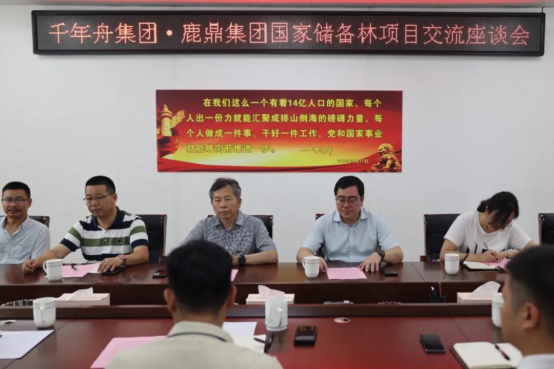 千年舟集团到bevictor伟德集团互换国储林建设项目2.jpg