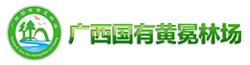 link1 bevictor伟德-bv伟德国际体育官方网站