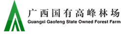 link2 bevictor伟德-bv伟德国际体育官方网站