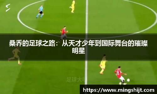 星空体育(中国)官方网站